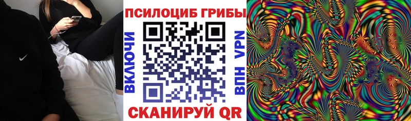 Псилоцибиновые грибы ЛСД  Купить где  Озёры 